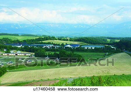 Farm in Biei, Hokkaido, Japan, elevated view View Large Photo Image Stock Photo - Farm in Biei, Hokkaido, Japan, elevated view. Fotosearch