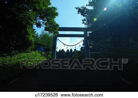 Hakodate, Hokkaido, Japan, Torii Gate, low angle view View Large Photo Image Stock Photograph - Hakodate, Hokkaido, Japan, Torii Gate, low angle view. Fotosearch