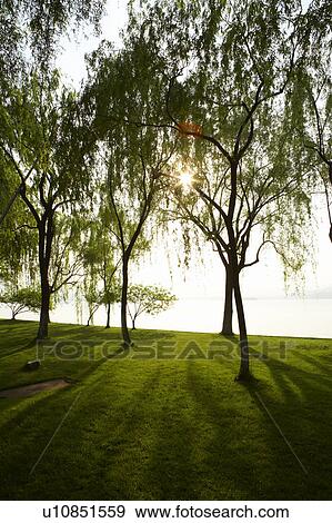 Stock Photo - West Lake Park, Hangzhou, Zhejiang Province, People Republic of China. Fotosearch