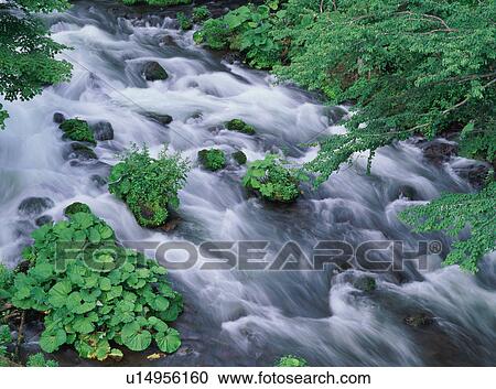 Stock Image - Akan River, Hokkaido, Japan. Fotosearch