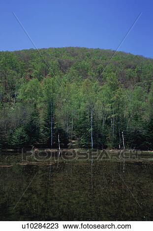 Azami Pond, Norikura Highland, Nagano Prefecture, Japan View Large Photo Image Stock Image - Azami Pond, Norikura Highland, Nagano Prefecture, Japan. Fotosearch