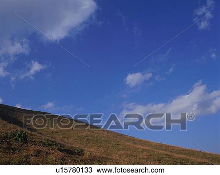 Stock Image - Japanese silver grass, Kirigamine, Nagano Prefecture, Japan. Fotosearch