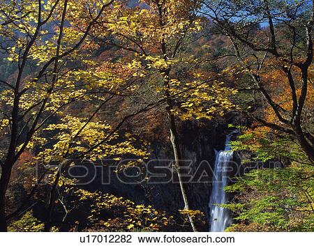 Stock Image - Kegon waterfall, Nikko, Tochigi Prefecture, Japan. Fotosearch