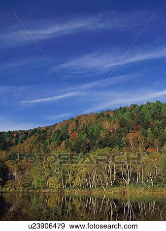 Stock Photo - Maruike Pond, Shiga Plateau, Nagano Prefecture, Japan. Fotosearch