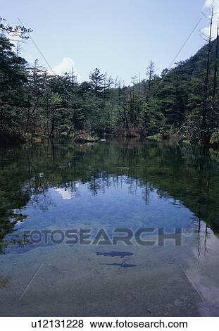 Stock Photo - Myojin Pond in Kamikochi, Nagano Prefecture, Japan. Fotosearch
