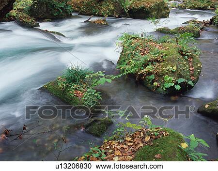 Stock Image - Oirase river, Aomori Prefecture, Japan. Fotosearch