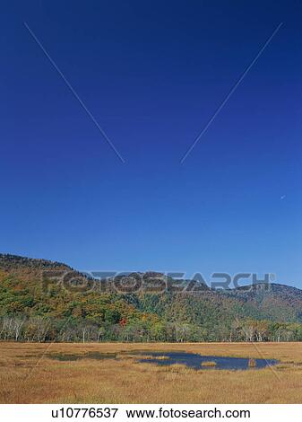 Stock Photo - Ozegahara, Gunma Prefecture, Japan. Fotosearch