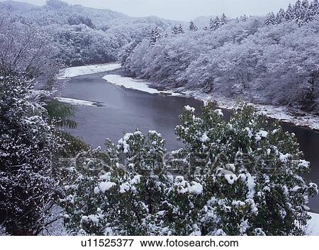 Snow covered trees View Large Photo Image Stock Photo - Snow covered trees. Fotosearch