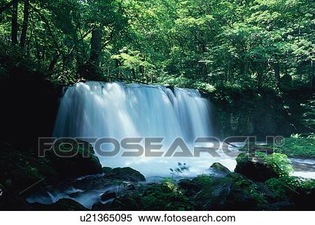 Stock Photography - Waterfall at Oirase in Aomori Prefecture. Fotosearch