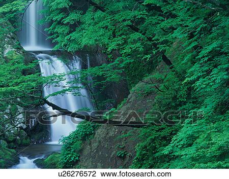 Waterfall in mountain View Large Photo Image Stock Image - Waterfall in mountain. Fotosearch