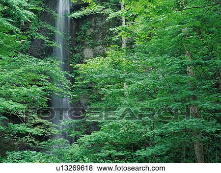 Waterfall in Oirase, Aomori Prefecture, Japan View Large Photo Image Stock Photo - Waterfall in Oirase, Aomori Prefecture, Japan. Fotosearch