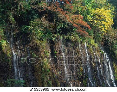 Waterfall in Shizuoka Prefecture, Japan View Large Photo Image Stock Photography - Waterfall in Shizuoka Prefecture, Japan. Fotosearch