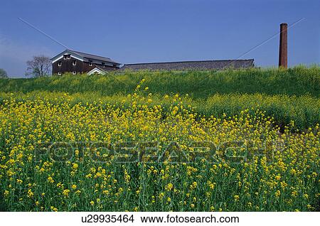 Fushimi, Kyoto Prefecture, Japan View Large Photo Image Picture - Fushimi, Kyoto Prefecture, Japan. Fotosearch
