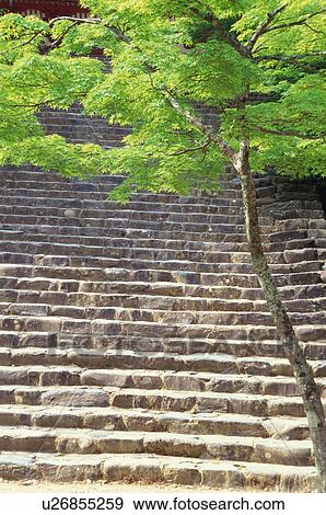 Jingo-ji Temple, Kyoto Prefecture, Japan View Large Photo Image Stock Photo - Jingo-ji Temple, Kyoto Prefecture, Japan. Fotosearch