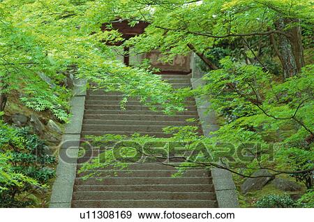 Stock Photo - Jojakko-ji Temple, Kyoto Prefecture, Japan. Fotosearch