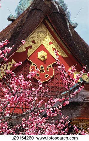 Stock Image - Kitano Tenmangu Shrine, Kyoto Prefecture, Japan. Fotosearch