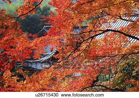 Stock Image - Konzo-ji Temple, Kyoto Prefecture, Japan. Fotosearch