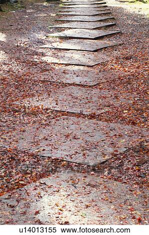 Stock Photography - Kozan-ji Temple, Kyoto Prefecture, Japan. Fotosearch