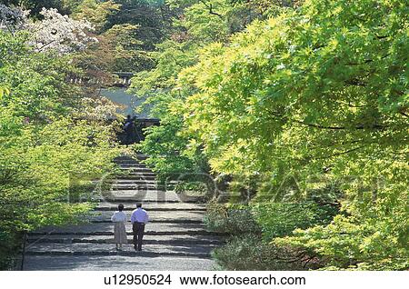 Picture - Nison-in Temple, Kyoto Prefecture, Japan. Fotosearch