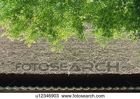 Stock Image - Sagano, Kyoto Prefecture, Japan. Fotosearch