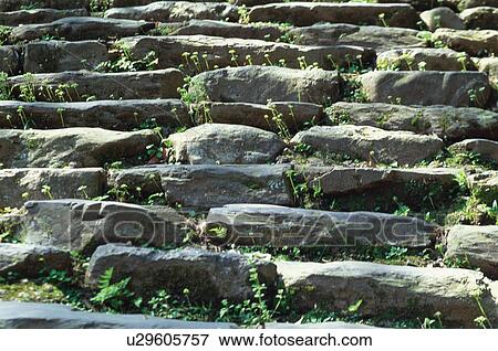 Stone steps at Jingo-ji Temple, Kyoto Prefecture, Japan View Large Photo Image Stock Photo - Stone steps at Jingo-ji Temple, Kyoto Prefecture, Japan. Fotosearch
