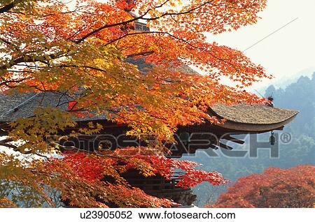 Stock Image - Yoshimine-dera Temple, Kyoto Prefecture, Japan. Fotosearch