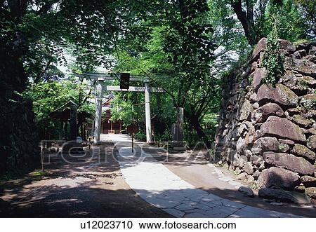 Stock Image - Kaikoen, Nagano Prefecture, Japan. Fotosearch