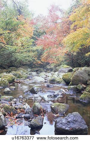 Kikuchi Ravine, Kumamoto Prefecture, Japan View Large Photo Image Stock Photo - Kikuchi Ravine, Kumamoto Prefecture, Japan. Fotosearch