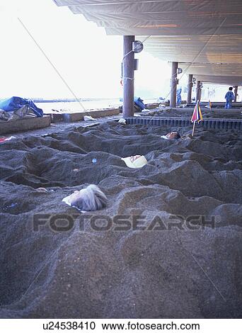 Sand Bath, Kagoshima Prefecture, Japan View Large Photo Image Stock Image - Sand Bath, Kagoshima Prefecture, Japan. Fotosearch