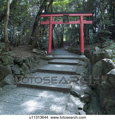 Picture - Torii gate at shrine. Fotosearch