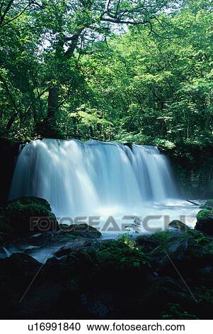 Waterfall at Oirase in Aomori Prefecture View Large Photo Image Stock Image - Waterfall at Oirase in Aomori Prefecture. Fotosearch