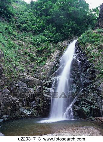 Waterfall in Shirakami Mountain, Aomori Prefecture, Japan View Large Photo Image Stock Image - Waterfall in Shirakami Mountain, Aomori Prefecture, Japan. Fotosearch