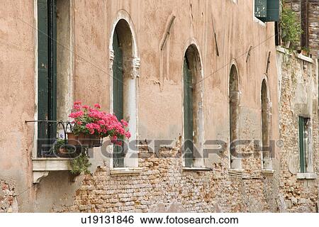 Arched windows and geranium flowers in Venice, Italy. View Large Photo Image Stock Photograph - Arched windows and geranium flowers in Venice, Italy.. Fotosearch