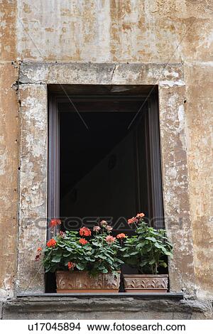 Picture - Window exterior with flowers in Rome, Italy.. Fotosearch