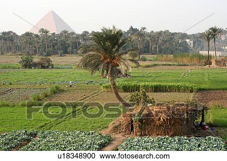 Stock Image - Egypt, Giza, Pyramids, Sky. Fotosearch