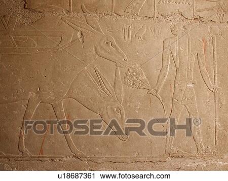 Stock Image - Egypt, Saqqara, Tomb, Niankhkhum, Khnumhotep. Fotosearch