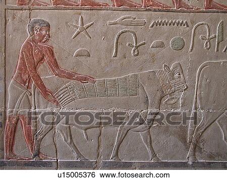 Stock Photograph - Egypt, Saqqara, Tomb, Niankhkhum, Khnumhotep. Fotosearch