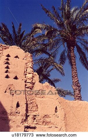 Wall, Palms, egypt View Large Photo Image Stock Image - Wall, Palms, egypt. Fotosearch