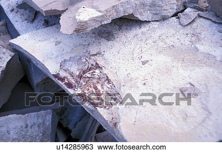 lebanon, liban, Hakel, middle, east View Large Photo Image Stock Image - lebanon, liban, Hakel, middle, east. Fotosearch