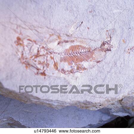 lebanon, liban, Hakel, middle, east View Large Photo Image Stock Photograph - lebanon, liban, Hakel, middle, east. Fotosearch