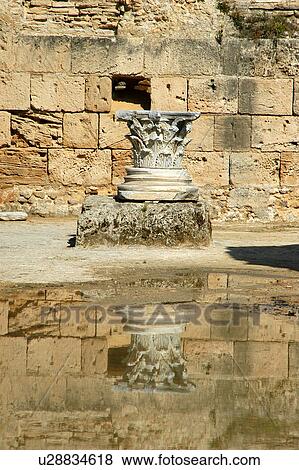 Stock Photo - Tunis, Tunisia, arabic, islam, Carthage, cartage, karthago. Fotosearch