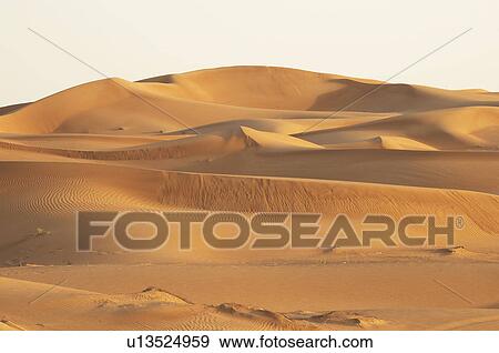 Stock Photo - desert, dune, UAE, dry. Fotosearch
