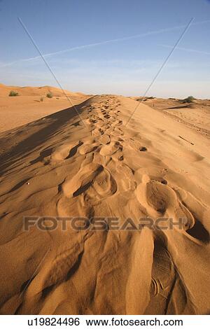 Stock Photograph - sand, desert, uae. Fotosearch