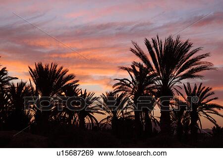 Northern, Ksour, Tunis, Tunisia, arabic, country View Large Photo Image Stock Photo - Northern, Ksour, Tunis, Tunisia, arabic, country. Fotosearch