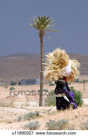 Stock Photo - Southern, Ksour, Tunis, Tunisia, arabic, country. Fotosearch