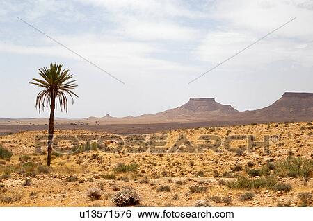 Southern, Ksour, Tunis, Tunisia, arabic, country View Large Photo Image Stock Photograph - Southern, Ksour, Tunis, Tunisia, arabic, country. Fotosearch