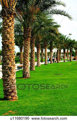 Stock Image - landscape, scenery, countryside, land, abu, dhabi, park. Fotosearch
