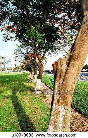 Stock Image - landscape, scenery, countryside, land, abu, dhabi, park. Fotosearch