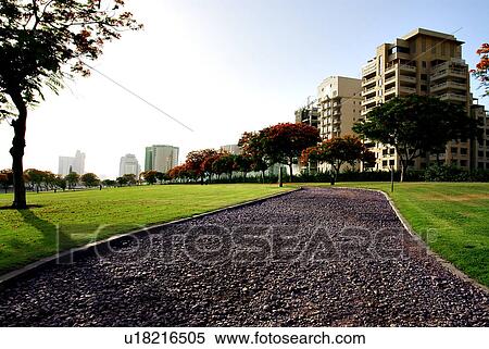 Stock Photography - landscape, scenery, countryside, land, abu, dhabi, park. Fotosearch