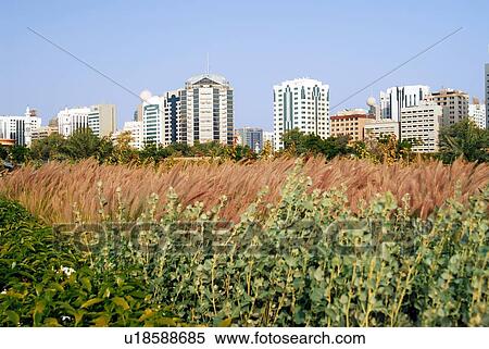 Stock Photography - landscape, scenery, countryside, land, abu, dhabi, park. Fotosearch